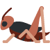 :cricket: :cricket: