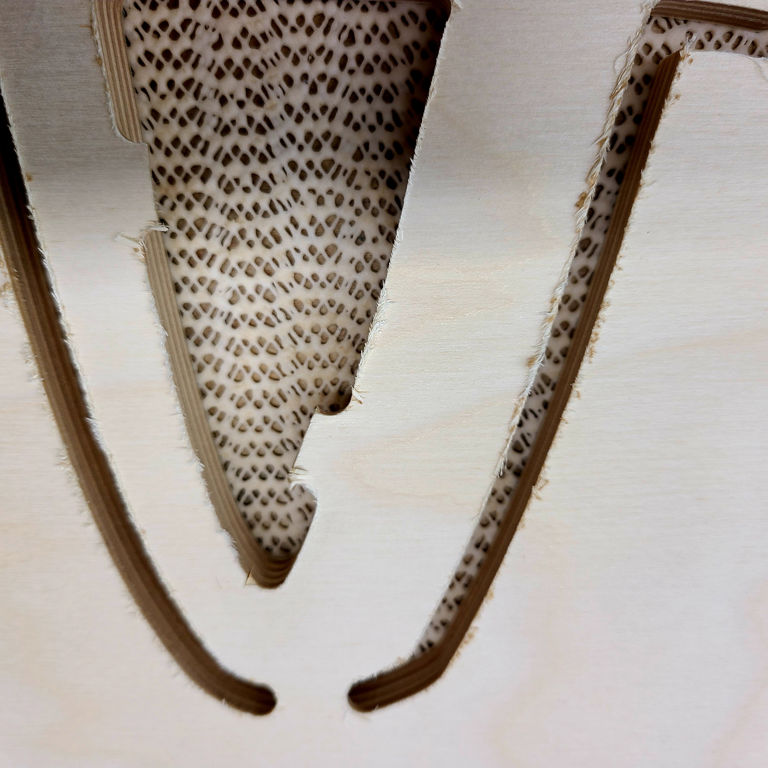 Fuzzy cuts on birch plywood - Shapeoko - Carbide 3D Community Site