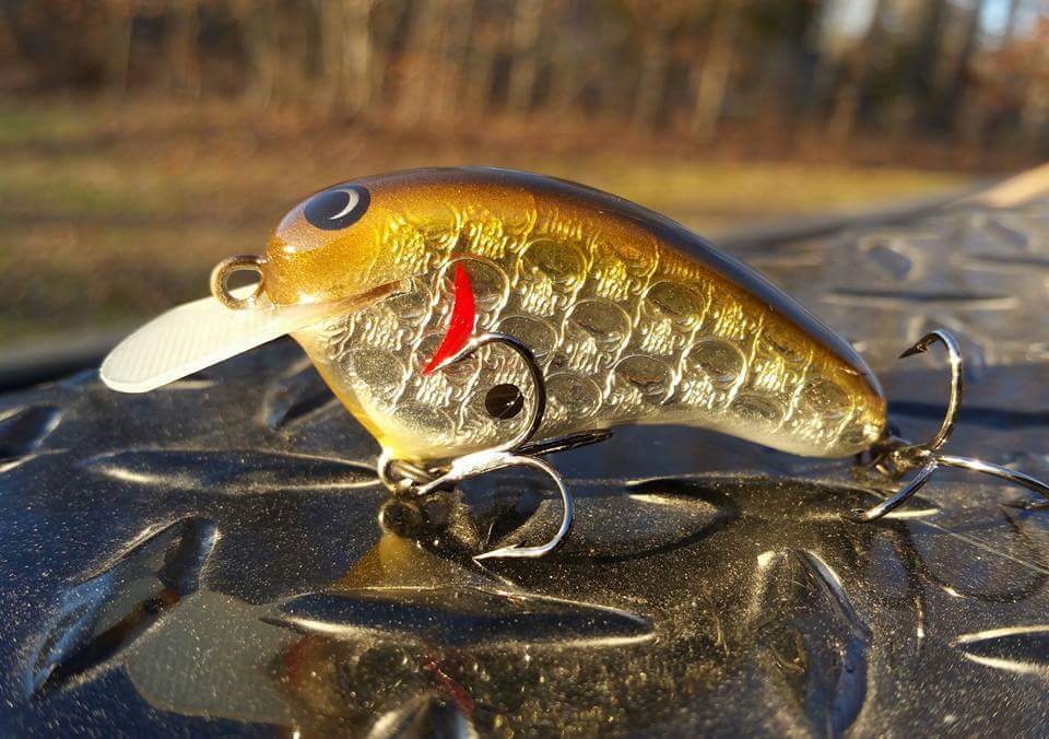 best lure for shore fishing Best Saltwater Lures: A Beginner's Guide for 2026