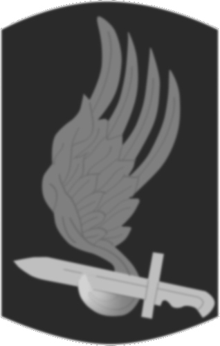 AIRBORNE_173_PATCH-inverted