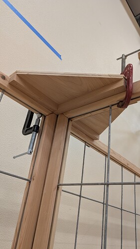 PXL_20251108_002042688