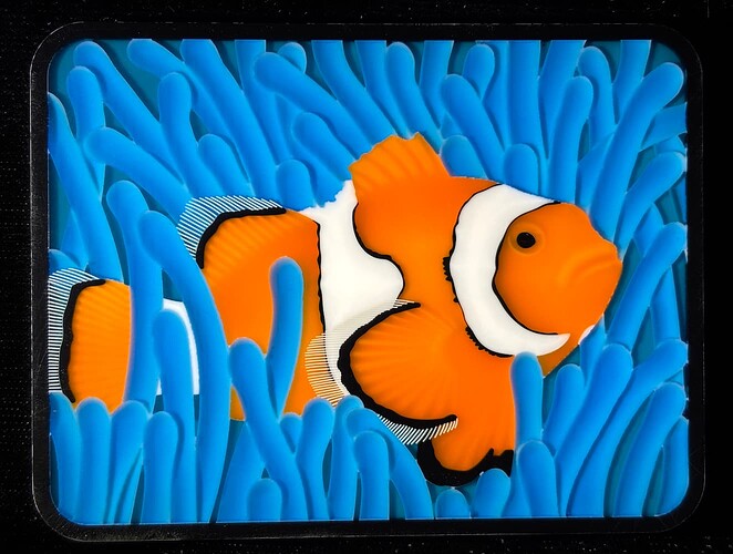 ClownFish_14-final_sm