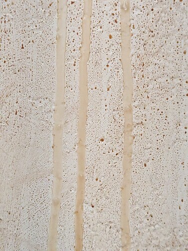 PXL_20230621_214456442