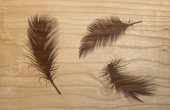 feathers on cherrywood