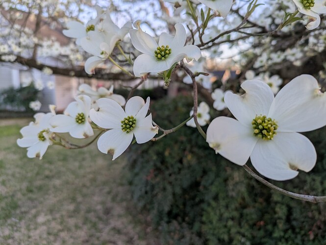 PXL_20260303_234946123