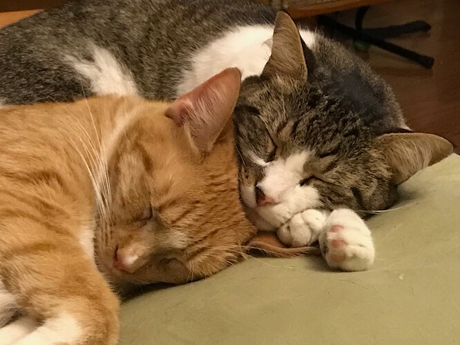 Buddies - 1