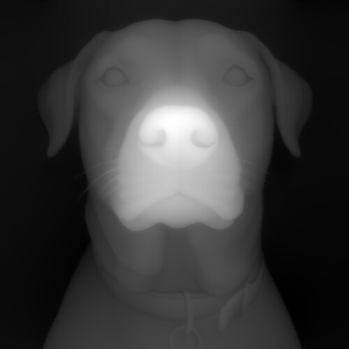 Dog Close-up