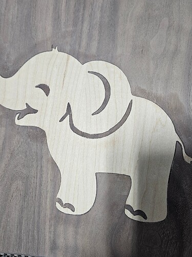 elephant4
