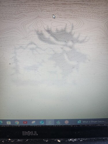 moose 2