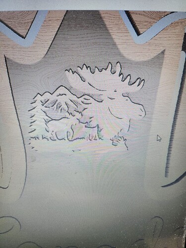 moose 1