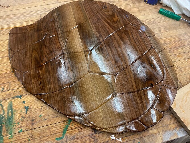 large turtle back one coat