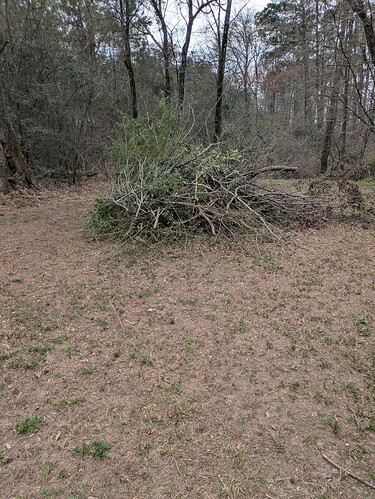 PXL_20260226_202217209