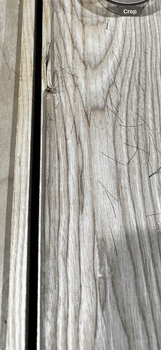 02_destroyed_left_rim_closeup