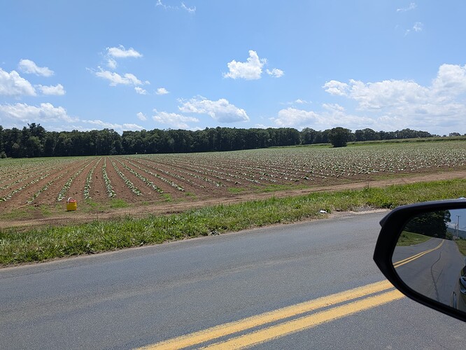PXL_20250619_173641008