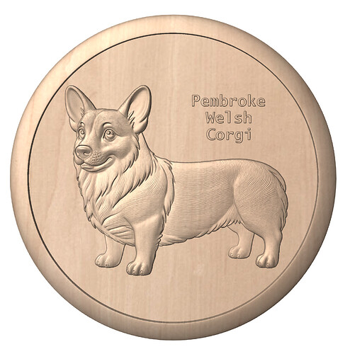 Pembroke Welsh Corgi in a bowl