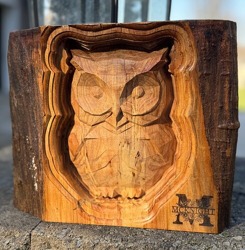 owl-carve-ciordia