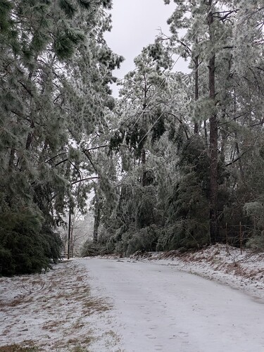 PXL_20260125_143201644.MP