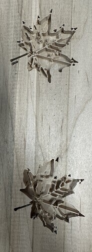 IMG_5690