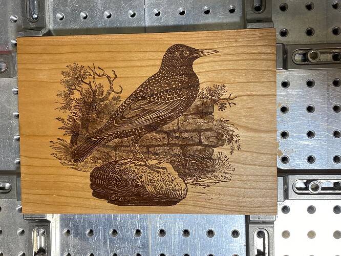 blackbird