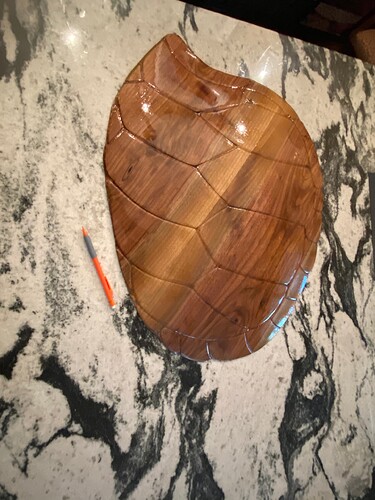 Large turtle shell finished
