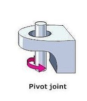 mechanical pivot joint